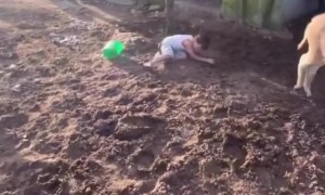Little Boy Falls Off of a Donkey