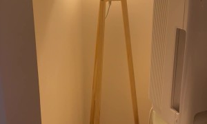 Google Home Prefers the Irish