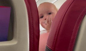 Look at What I Did to Stop This Baby's Crying