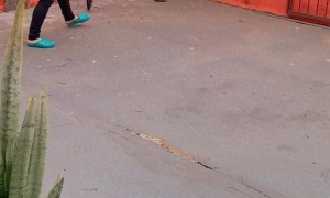 One Point For Frog, Zero For Luana