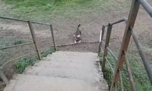 If It Doesn't Work The First Time, Keep Trying And It Still Won't Work