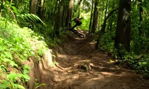 A Dirt Bike Tumble in the Jungle