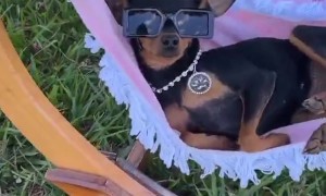 Still Swag Even When Lounging Around