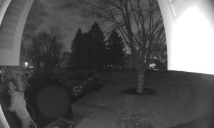 Person Runs Off With Entire Tree And A Lightbulb