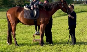 Horse Startled by its Own Fart Sends Rider Flying