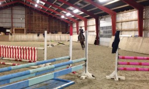 Fall During A Horse Jumping Lesson