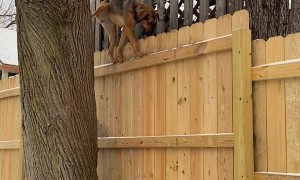 Nola Doing Her Pretty Girl Walk