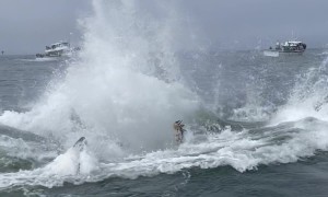 Young Humpback Whale Breaches Right Next to the Boat