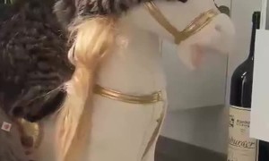 Kitty Adorably Rides Rocking Pony