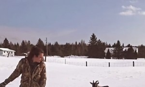 Grooming a Trail for the Goats