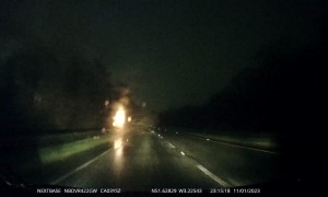 Driver Collides With Fallen Tree on Unlit Road