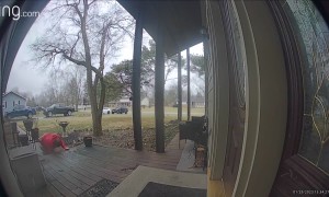 Man Slips on Step and Lands Hard on His Back