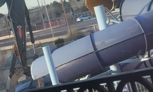 Cat Appears Shocked at Waterslide Teardown