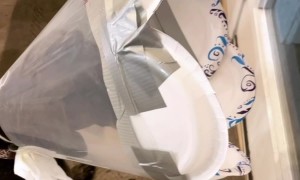 The Flower Cone of Shame