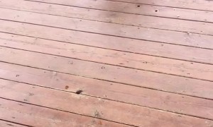 Outside Button Belongs Inside