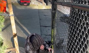 Creative Problem Solving At Work