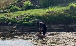 Police officer rescues dog stuck in Florida canal