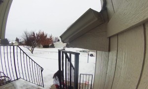 Ice Strikes Never Stop