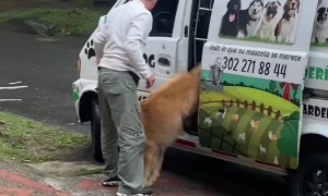 Good Boy Always Remembers His Lunch Box