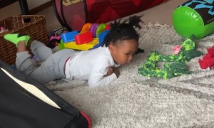 Little Boy Ignores Mother's Advice