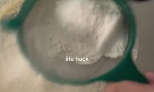 Massage Gun Flour Sifter