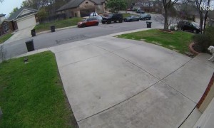 FiFi Sees A Squirrel And Can't Resist