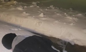 A Perfect Face Print