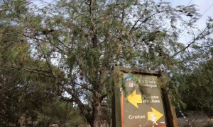 Man Living His Best Life Riding Horse At Full Speed