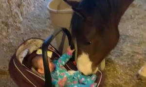 Zoey And Snoopy Growing Up Together