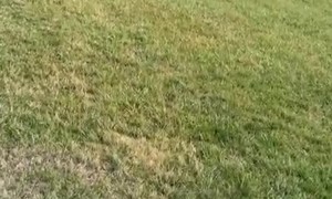 Springfield Train Derailment Aftermath