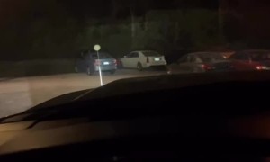 Who Knew A Car Antenna Could Be So Comical