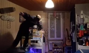 Guy Builds Skate Ramp in His Bedroom