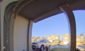 Milo The Dog Is Locked Out