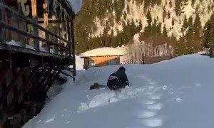Diving Into The Snow