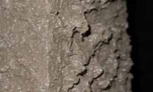 A Mud Slinging Tahoe