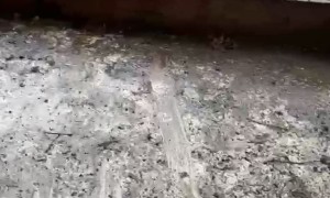 It Almost Looks Like Someone Slipped in the Mud...