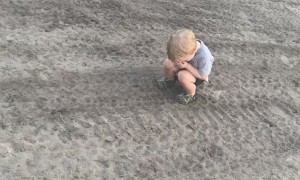 Memphis The Hide And Seek Champ