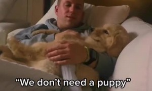 Dad melts into cuddles with the dog he never knew he needed