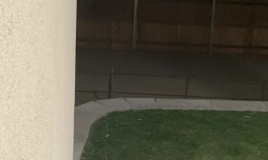 Whiskey Creeps Around The Corner