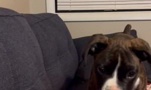 Mick And His Little Pounce