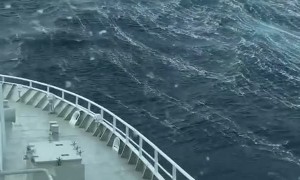 Rough Weather Wave Riding