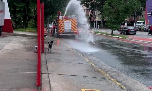 Firehouse Doggie Cooling Off