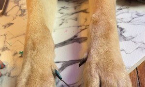 Remmi And Emmy's Nail Salon