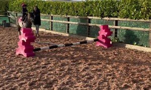 Ellianna The Pony Riding Master