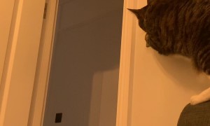 It's Time To Get Up And Feed Nala