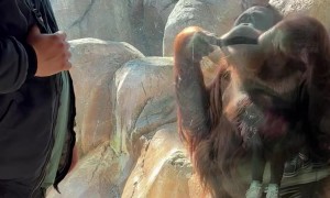 Amber Is Curious About The Items In Your Backpack