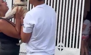 Puppy and Parents Reunite