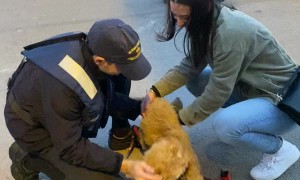 Popeye The Wiggly Welcoming Committee