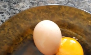 Giant Eggs Holds a Surprise