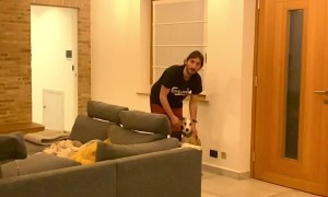 Whippet Jumps All the Way to Ceiling from a Standstill